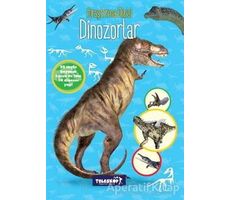 Dinozorlar Araştırma Dizisi - Kolektif - Teleskop Popüler Bilim