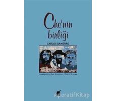 Chenin Birliği - Carlos Gamerro - Ayrıntı Yayınları