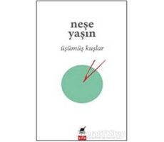 Üşümüş Kuşlar - Neşe Yaşın - Ayrıntı Yayınları