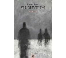 Su Duydum - Hasan Sever - Ayrıntı Yayınları