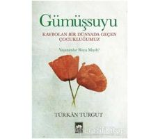 Gümüşsuyu - Türkan Turgut - Ötüken Neşriyat