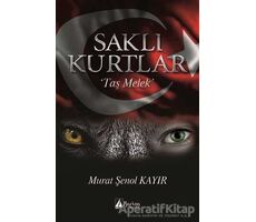 Saklı Kurtlar - Murat Şenol Kayır - Karina Yayınevi