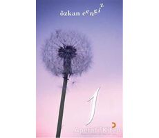 1 - Özkan Cengiz - Cinius Yayınları