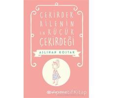 Çekirdek Ailenin En Küçük Çekirdeği - Aslıhan Kostak - Epsilon Yayınevi