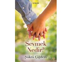 Sevmek Nedir? - Şükrü Çiğdem - Cinius Yayınları