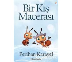 Bir Kış Macerası - Perihan Karayel - Cinius Yayınları
