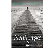 Nedir Aşk? - Murat Çetin - Cinius Yayınları