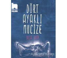 Dört Ayaklı Mucize  - Julia Romp - Habitus Kitap