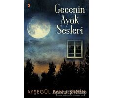 Gecenin Ayak Sesleri - Ayşegül Banu Şahin - Cinius Yayınları