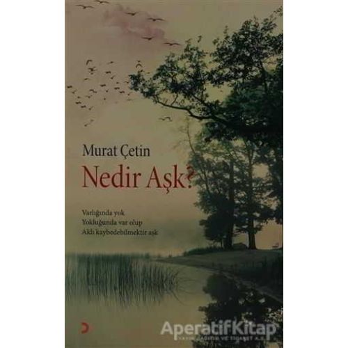 Nedir Aşk? - Murat Çetin - Cinius Yayınları