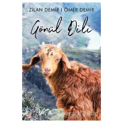 Gönül Dili - Ömer Demir - Cinius Yayınları