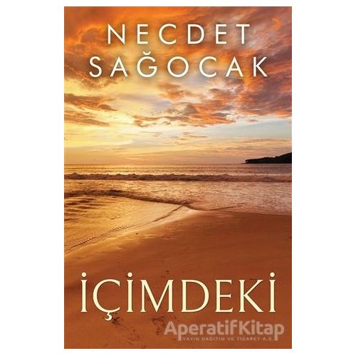 İçimdeki - Necdet Sağocak - Cinius Yayınları