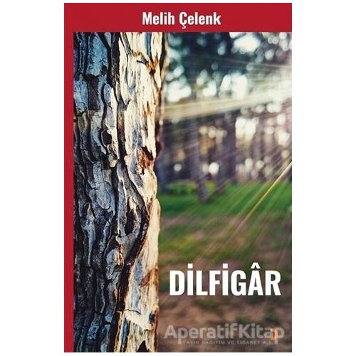 Dilfigar - Melih Çelenk - Cinius Yayınları