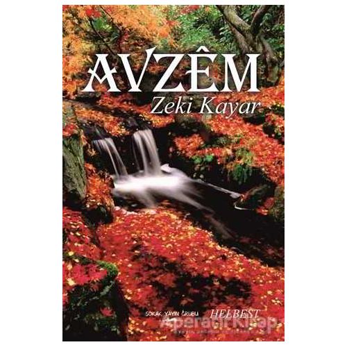 Avzem - Zeki Kayar - Sokak Kitapları Yayınları