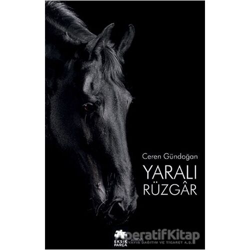 Yaralı Rüzgar - Ceren Gündoğan - Eksik Parça Yayınları