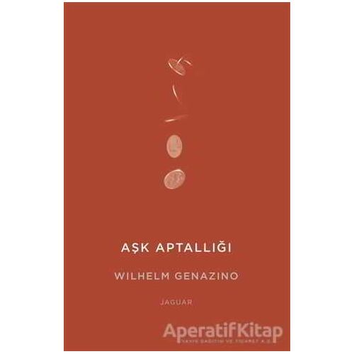 Aşk Aptallığı - Wilhelm Genazino - Jaguar Kitap