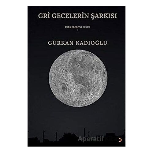 Gri Gecelerin Şarkısı - Gürkan Kadıoğlu - Cinius Yayınları