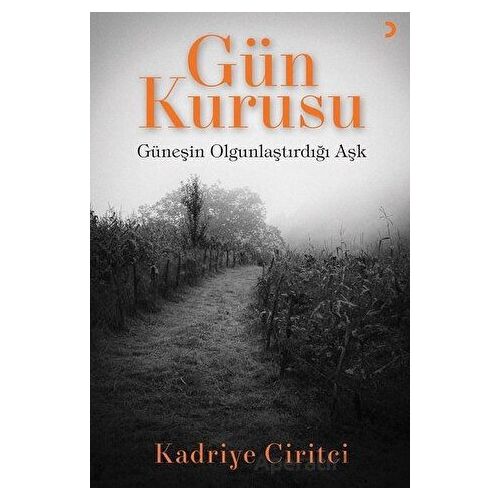 Gün Kurusu - Kadriye Ciritci - Cinius Yayınları