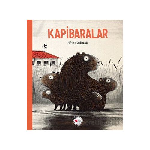 Kapibaralar - Alfredo Soderguit - Can Çocuk Yayınları