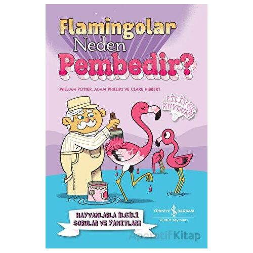 Flamingolar Neden Pembedir? Hayvanlarla İlgili Sorular ve Yanıtları