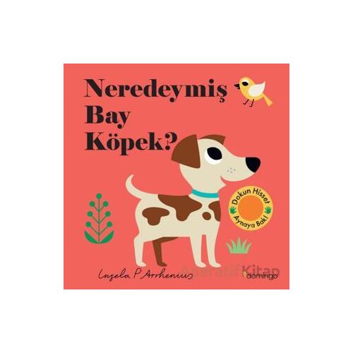 Neredeymiş Bay Köpek? - Kolektif - Domingo Yayınevi