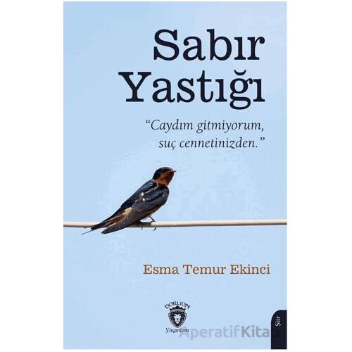 Sabır Yastığı - Esma Temur Ekinci - Dorlion Yayınları