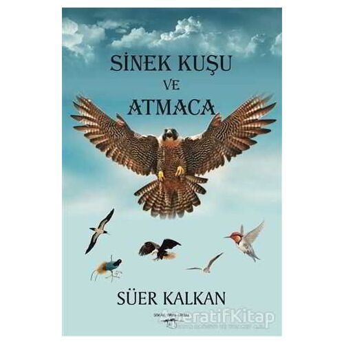 Sinek Kuşu ve Atmaca - Süer Kalkan - Sokak Kitapları Yayınları