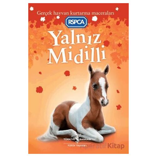 Yalnız Midilli - Sarah Hawkins - İş Bankası Kültür Yayınları