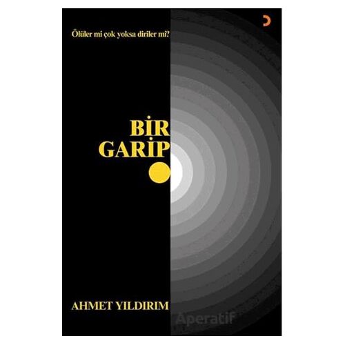 Bir Garip - Ahmet Yıldırım - Cinius Yayınları