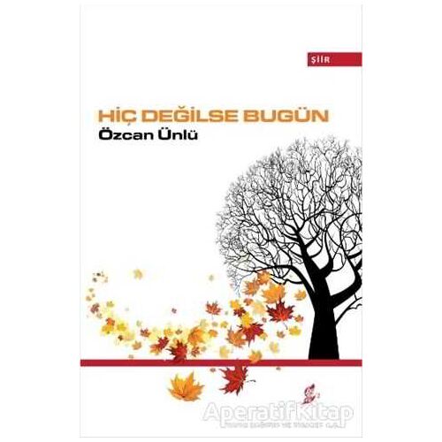 Hiç Değilse Bugün - Özcan Ünlü - Okur Kitaplığı