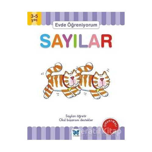 Evde Öğreniyorum - Sayılar - Jenny Ackland - Mavi Kelebek Yayınları