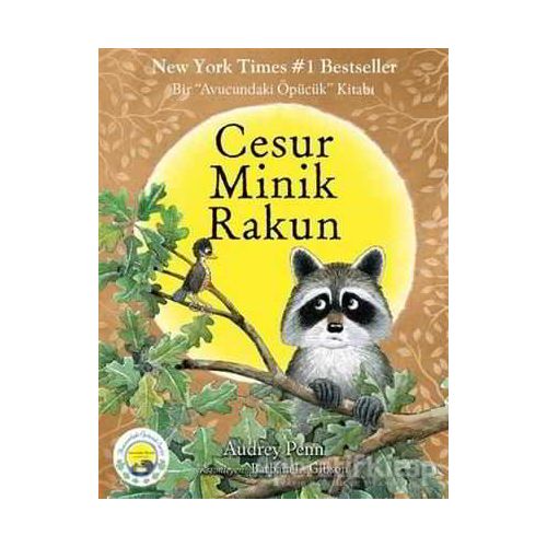 Cesur Minik Rakun - Audrey Penn - Butik Yayınları