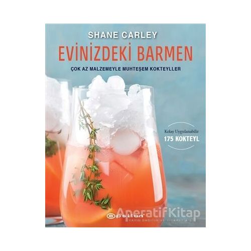 Evinizdeki Barmen - Shane Carley - Epsilon Yayınevi