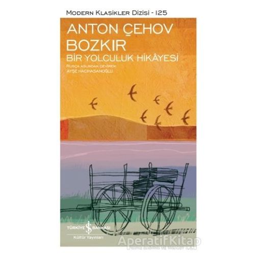 Bozkır - Bir Yolculuk Hikayesi (Şömizli) - Anton Pavloviç Çehov - İş Bankası Kültür Yayınları