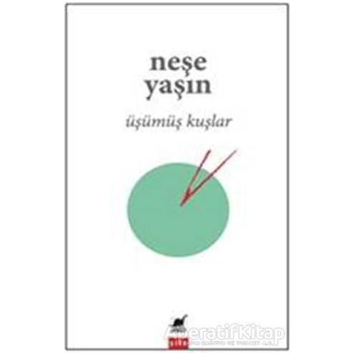 Üşümüş Kuşlar - Neşe Yaşın - Ayrıntı Yayınları