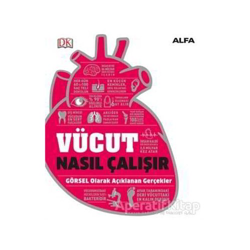 Vücut Nasıl Çalışır - Kolektif - Alfa Yayınları