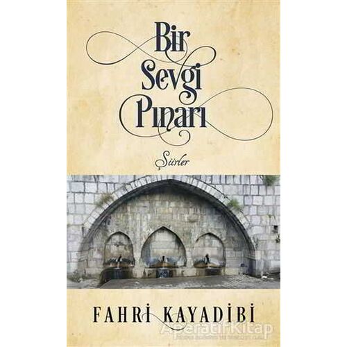 Bir Sevgi Pınarı - Fahri Kayadibi - Cinius Yayınları