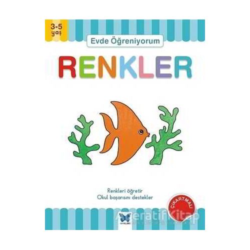 Evde Öğreniyorum - Renkler - Jenny Ackland - Mavi Kelebek Yayınları